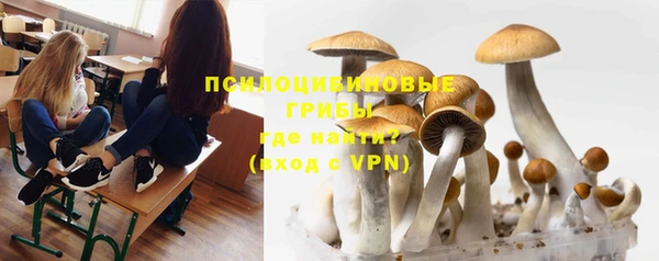 дмт Белокуриха