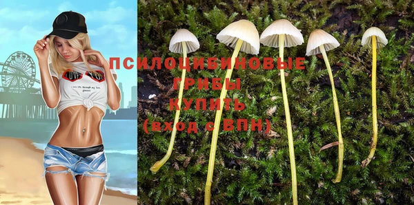 мескалин Беломорск