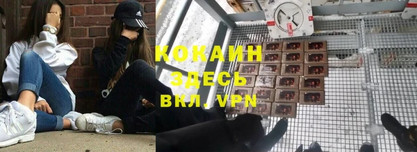 крисы Белоозёрский