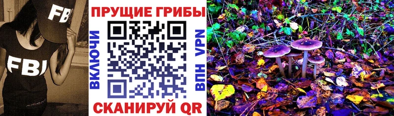 omg Воскресенск Псилоцибиновые грибы Magic Shrooms